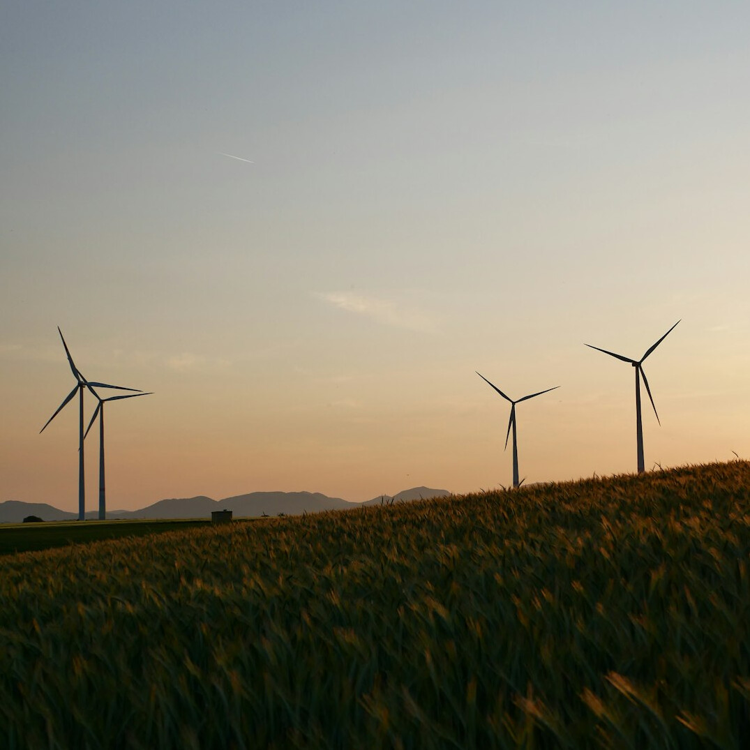 sustainable business operations
